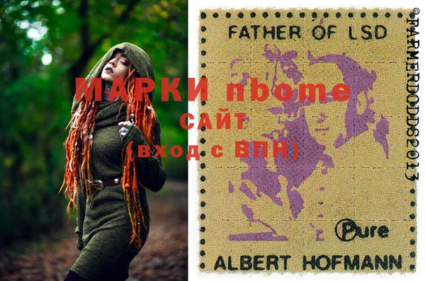 дурь Ельня