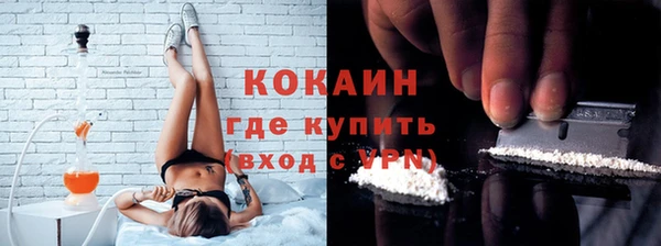 дурь Ельня