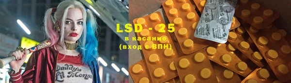 шишки Заводоуковск