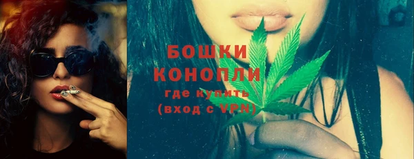 дурь Ельня