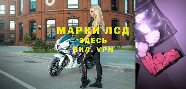 дурь Ельня