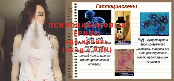дурь Ельня